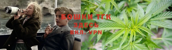 Альфа ПВП Алзамай