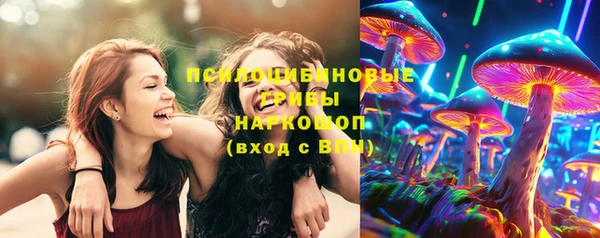 амф Абинск