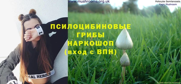 дживик Сафоново