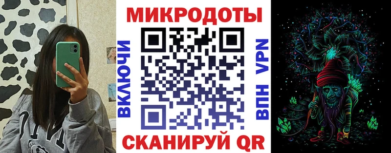 mega вход Богданович Псилоцибиновые грибы Psilocybine cubensis